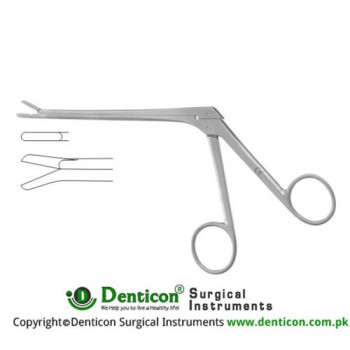 Cushing Leminectomy Rongeur Up Stainless Steel, 15 cm - 6" Bite Size 2 x 10 mm 